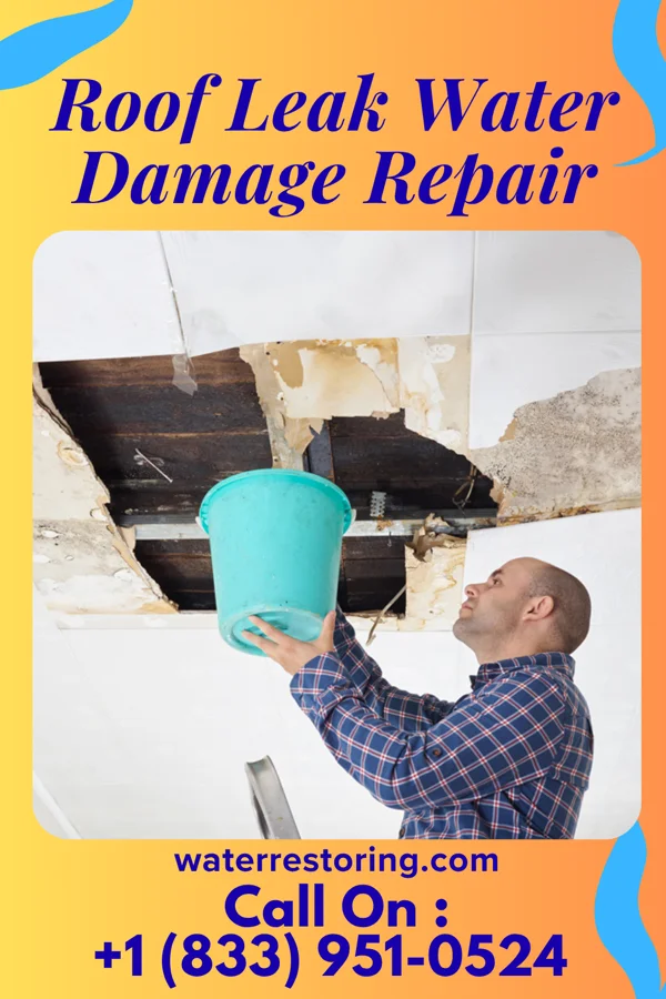 Roof Leak Water Damage Repair in Eton, GA